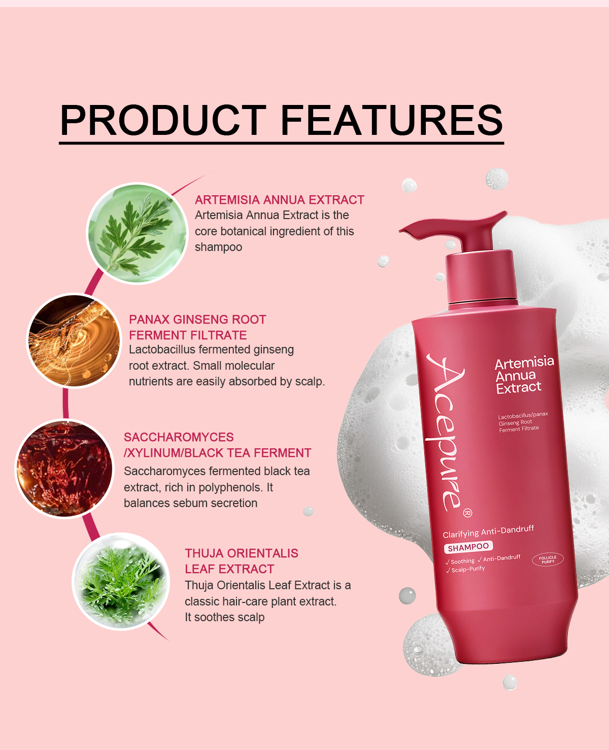 Image [6]-Clarifying Anti Dandruff Shampoo Soothes Itchy Scalp and Balances Sebum