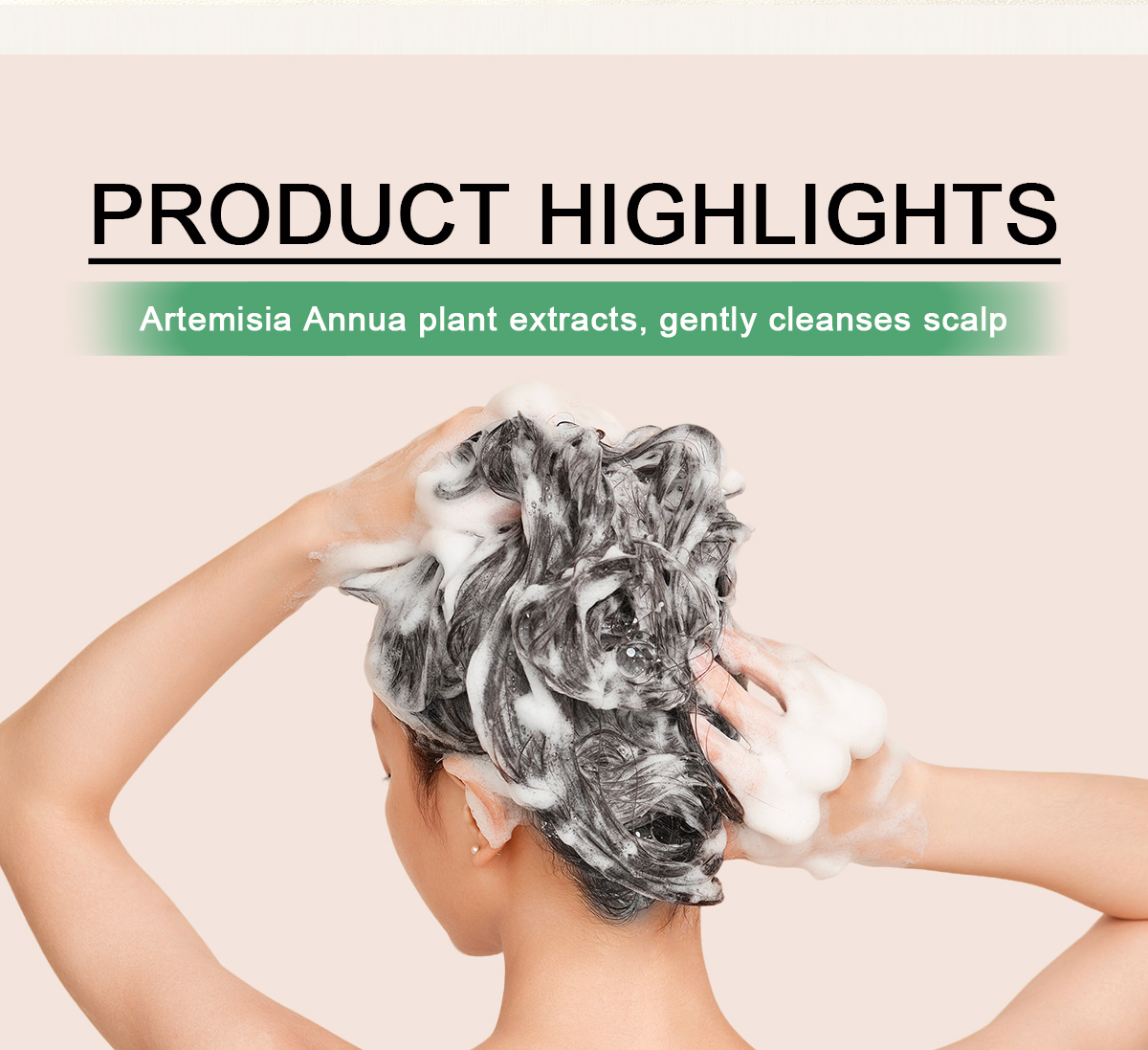 Image [2]-Oil Control Fluffy Shampoo Lifts Roots and Eliminates Greasy Flat Hair