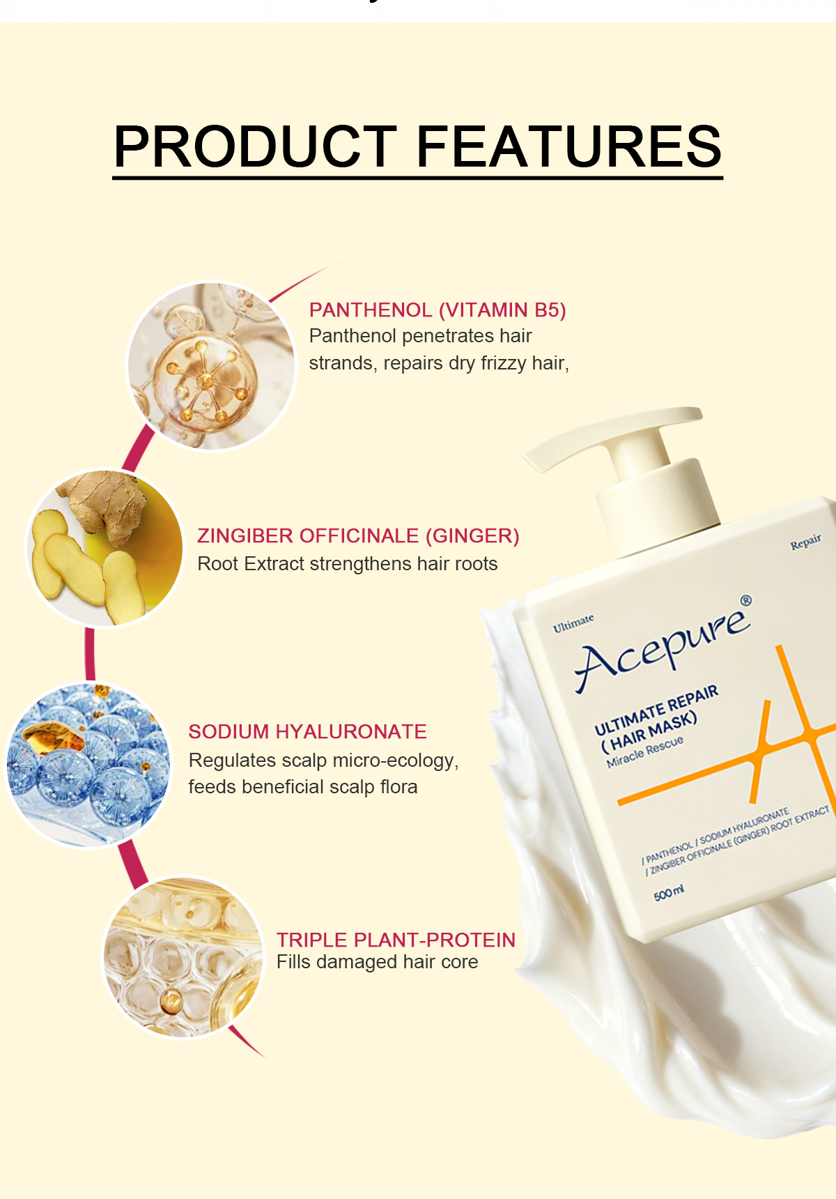 Image [6]-Acepure Ginger Amino Acid Hair Mask-Deep Nourishing Repair Moisturizing Oil-Control Dry Damaged Frizzy Hair